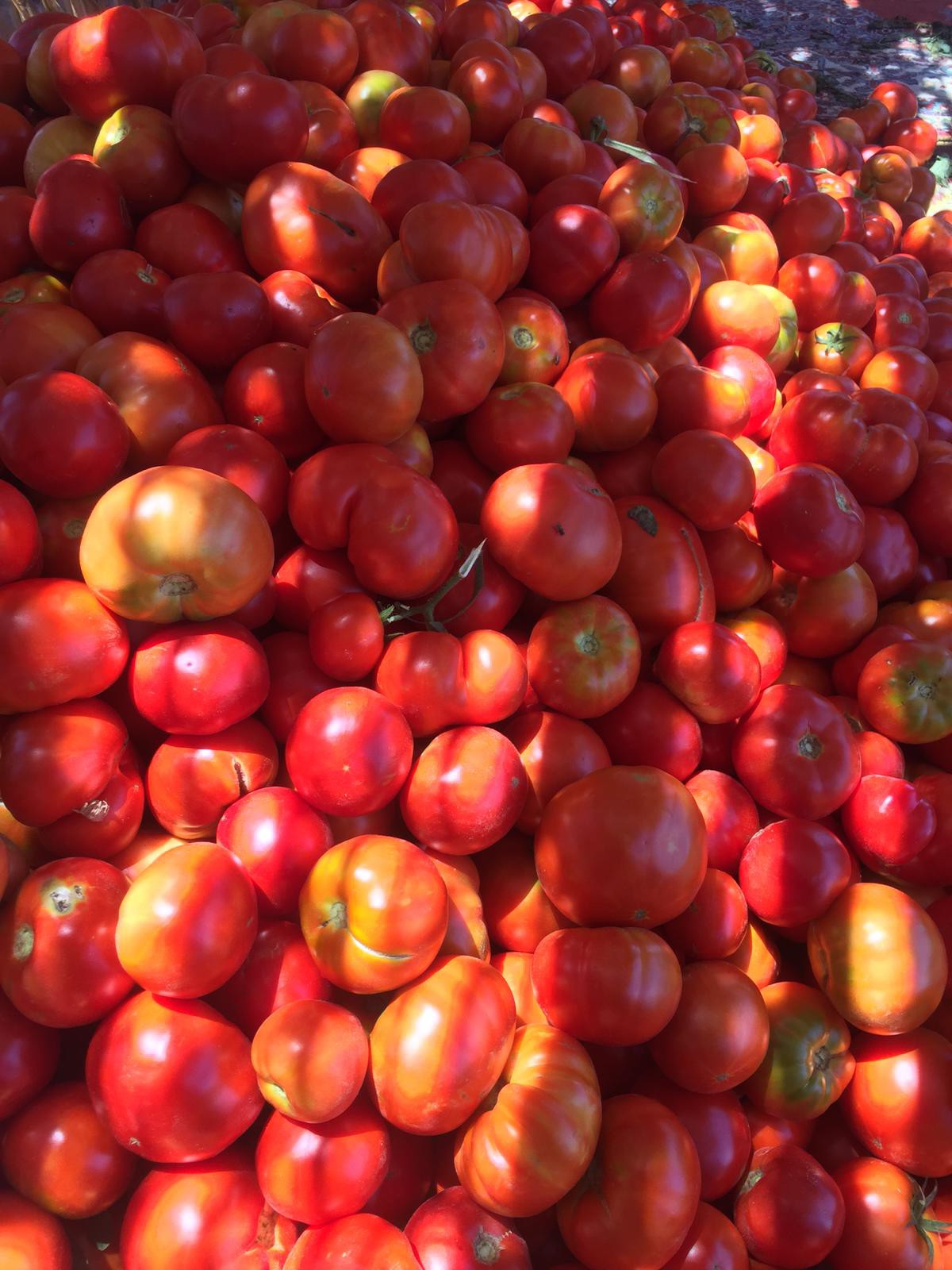 Tatlı%20Biber%20Salçası%20|%20Hatay%20|%201000Gr