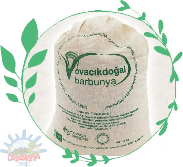 Barbunya