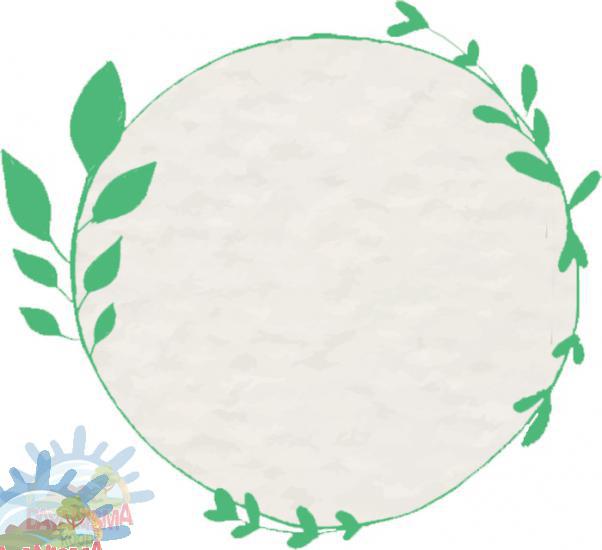 Hatay Soğuk Sıkım Zeytinyağı