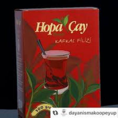 Kafkas Filizi- Hediyelik