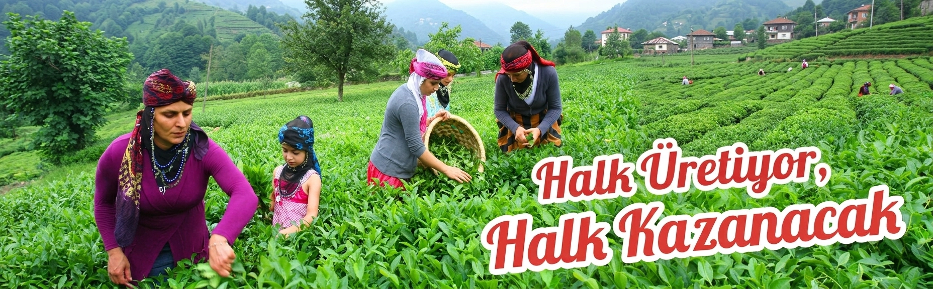 Hopa Çay